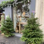 Sapins devant la boutique de la fluriste